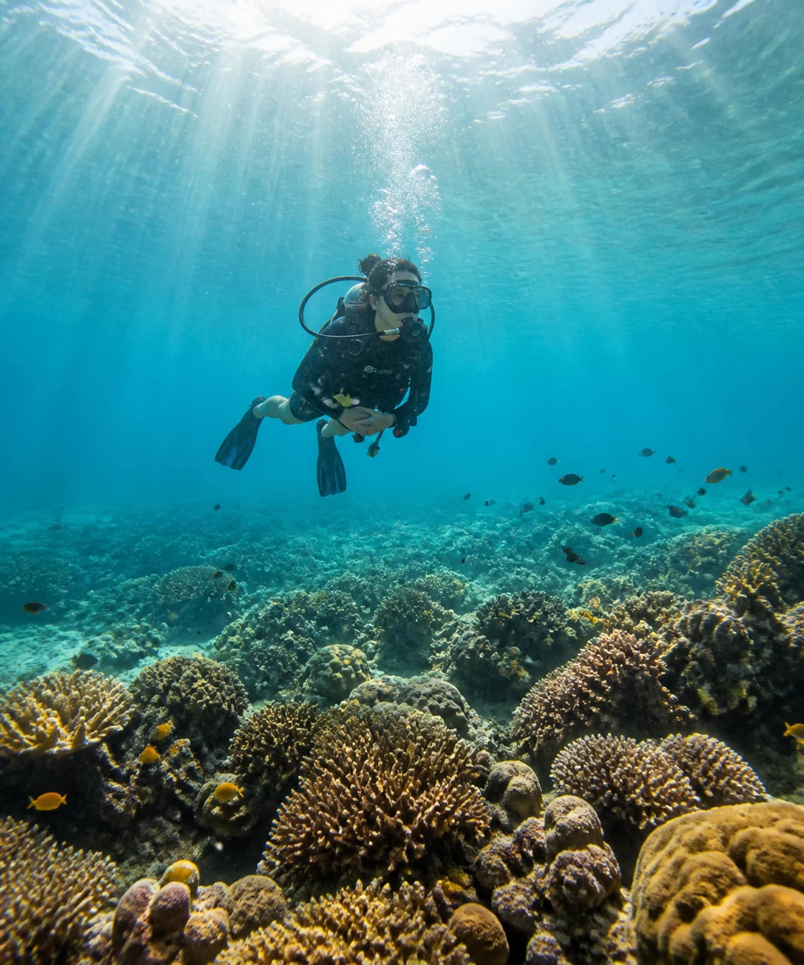 featured diving koh lipe