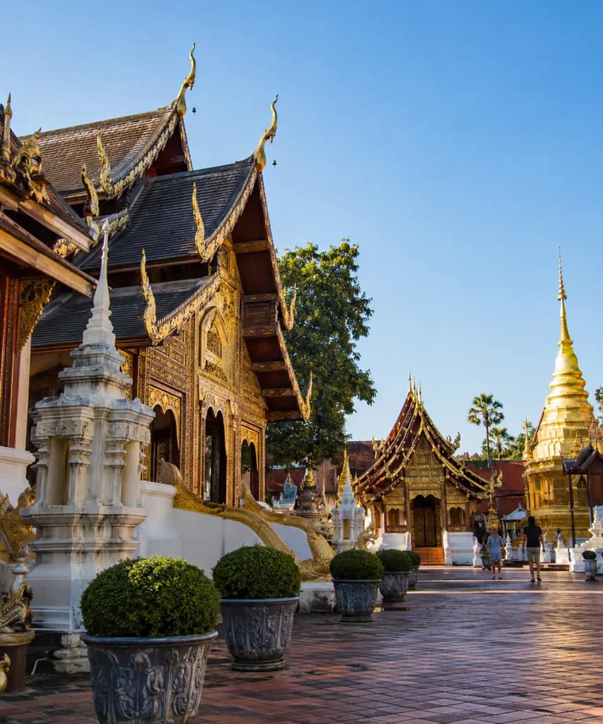Best Time to Visit Chiang Mai: Weather, Crowds and Prices 4 hiang-mai-cool-dry-season