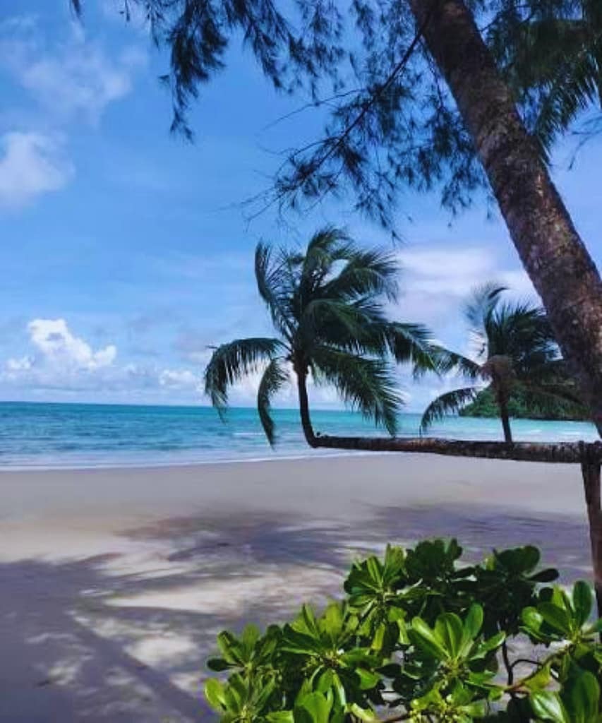 10 Best Beaches in Koh Kood: Which One Should You Visit? 4 Klong Chao Beach Koh Kood Thailand