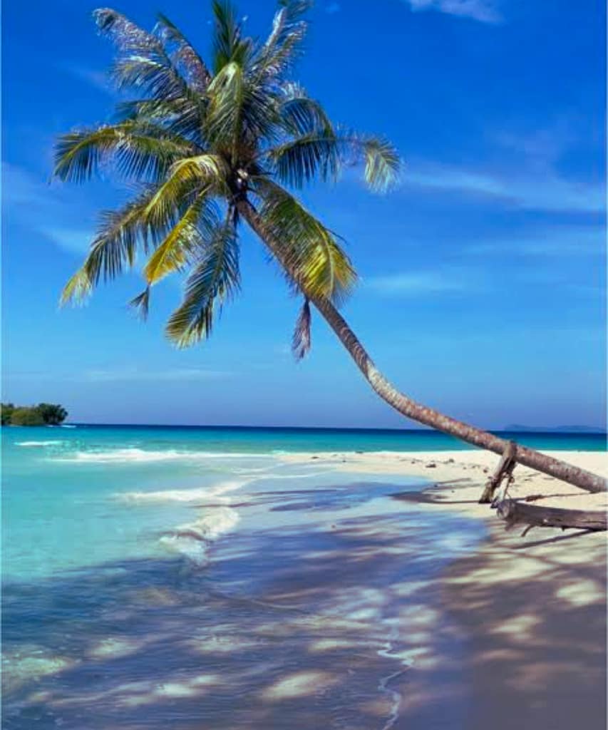 10 Best Beaches in Koh Kood: Which One Should You Visit? 11 Klong Rahan Secret Beach Koh Kood Thailand